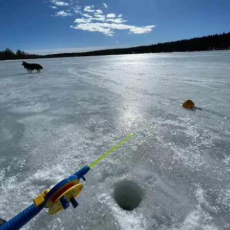 Kuonti-ruka, Kelohirsimoekki Jaerven Rannalla * Kuusamo
