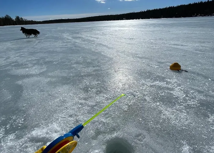 Kuonti-ruka, Kelohirsimoekki Jaerven Rannalla * Kuusamo