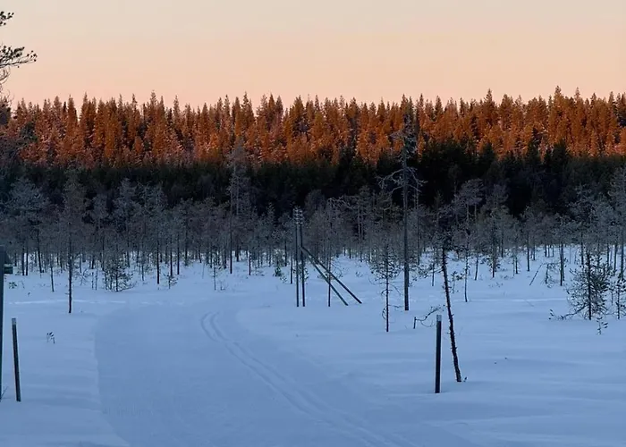 Hébergement de vacances Kuonti-ruka, Kelohirsimoekki Jaerven Rannalla