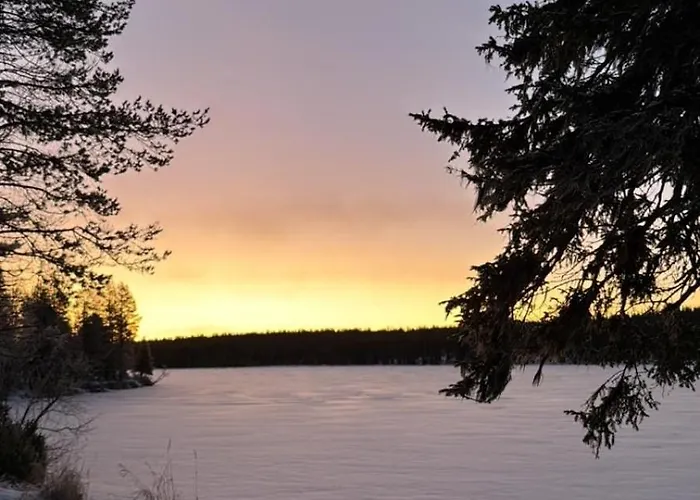 Kuonti-ruka, Kelohirsimoekki Jaerven Rannalla Kuusamo